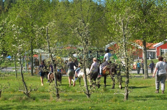 En grupp människor som rider på hästar på en sommaräng.